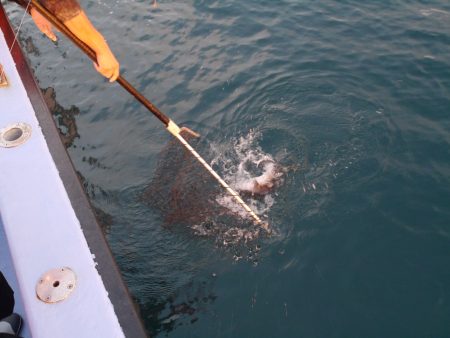 松鶴丸 釣果