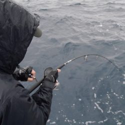 松鶴丸 釣果