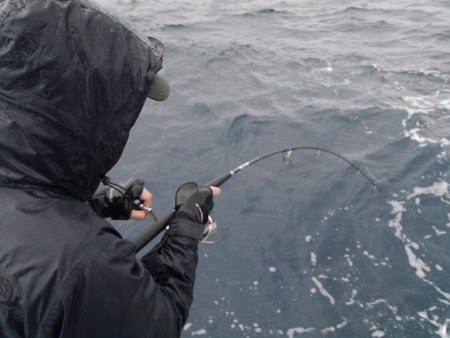 松鶴丸 釣果