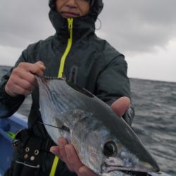 松鶴丸 釣果