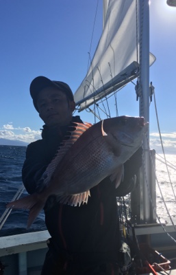 シーモンキー 釣果