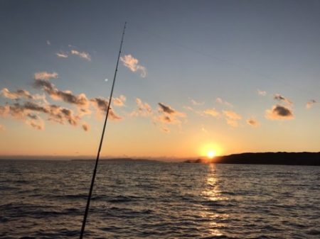 たいし丸 釣果