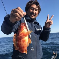 たいし丸 釣果