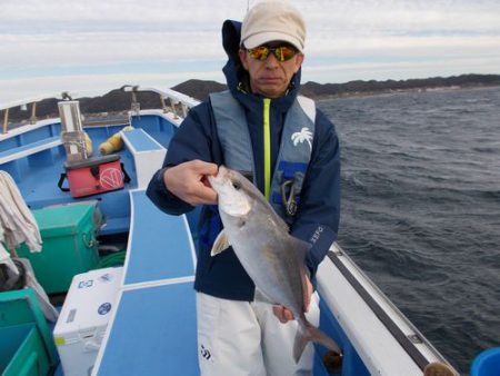 佐衛美丸 釣果