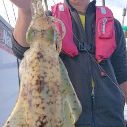 シースナイパー海龍 釣果