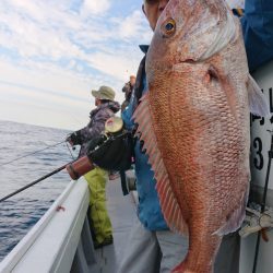 だて丸 釣果