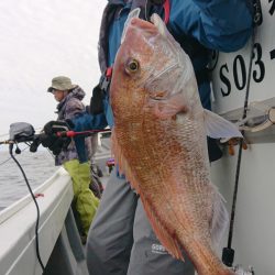 だて丸 釣果