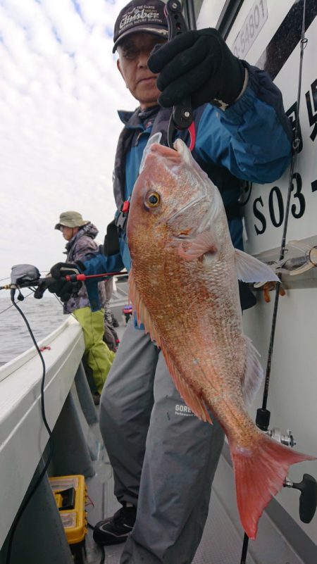 だて丸 釣果