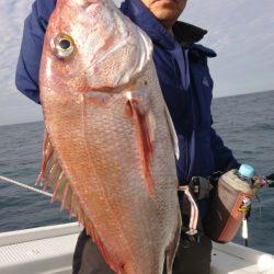 だて丸 釣果