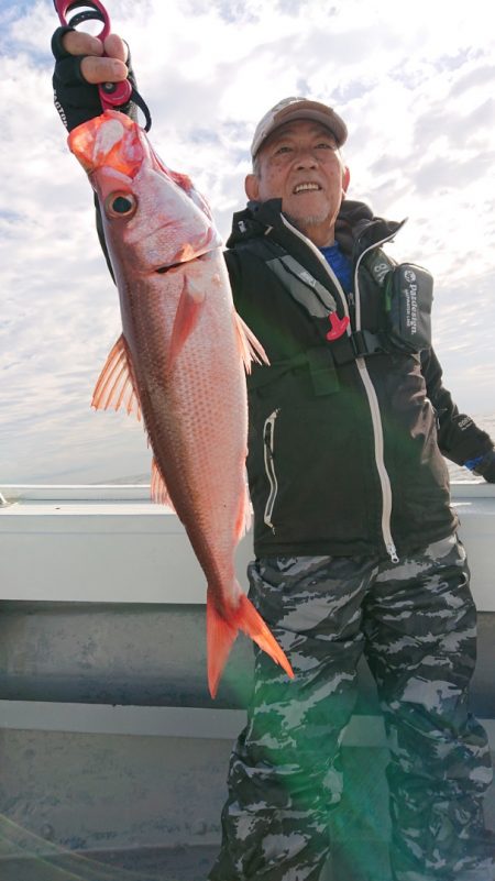 だて丸 釣果