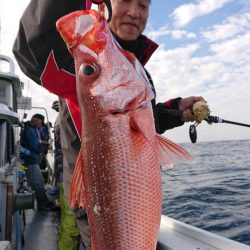 だて丸 釣果