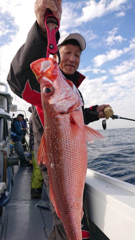 だて丸 釣果