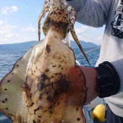 シースナイパー海龍 釣果