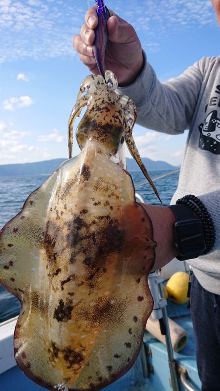 シースナイパー海龍 釣果