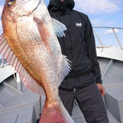 だて丸 釣果