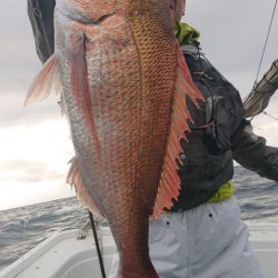 だて丸 釣果