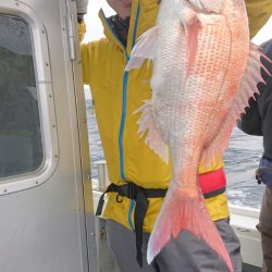 だて丸 釣果