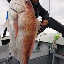 だて丸 釣果