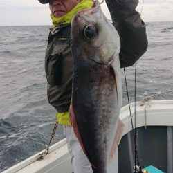 だて丸 釣果