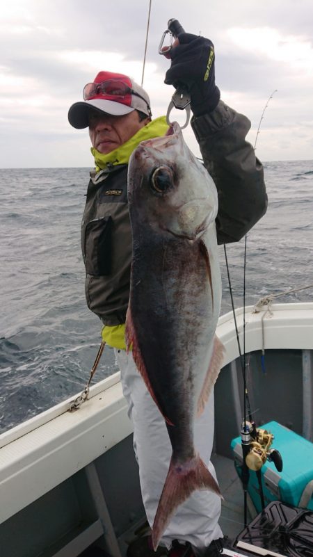 だて丸 釣果