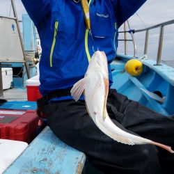 みやけ丸 釣果