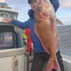 だて丸 釣果