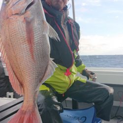 だて丸 釣果