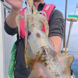 シースナイパー海龍 釣果