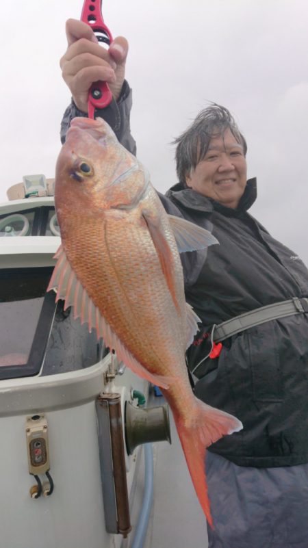 だて丸 釣果