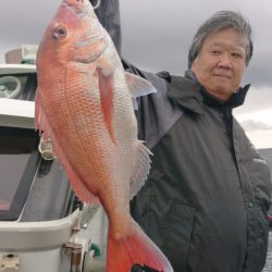 だて丸 釣果