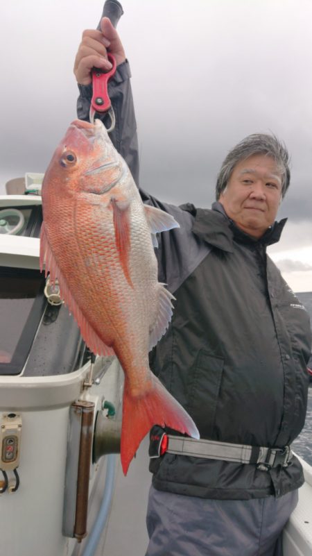 だて丸 釣果