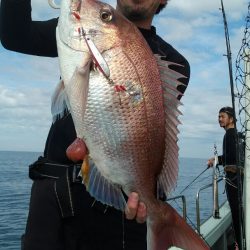 鷹王丸 釣果