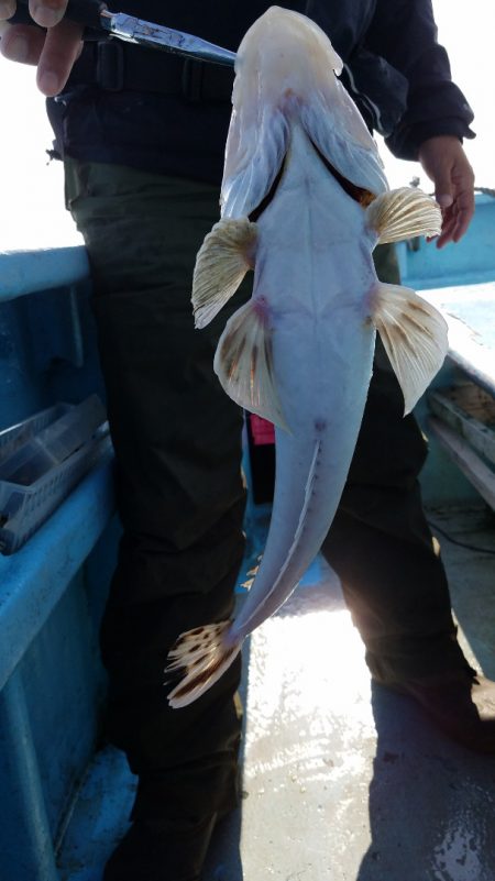 みやけ丸 釣果