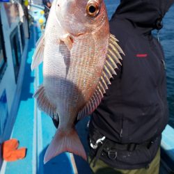 みやけ丸 釣果