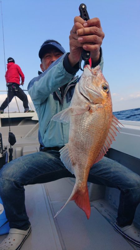 だて丸 釣果