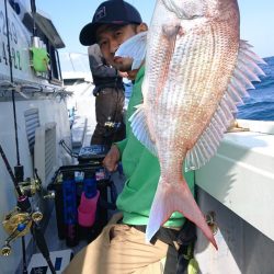 だて丸 釣果