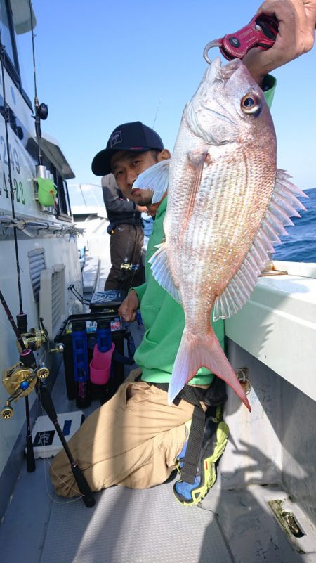 だて丸 釣果