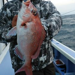 新幸丸 釣果