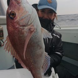 だて丸 釣果