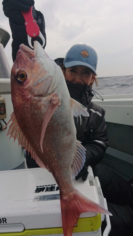 だて丸 釣果