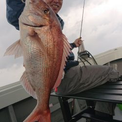 だて丸 釣果