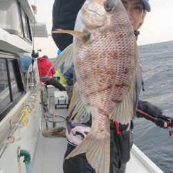 だて丸 釣果