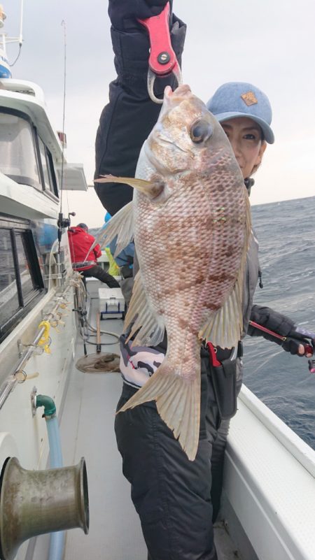 だて丸 釣果