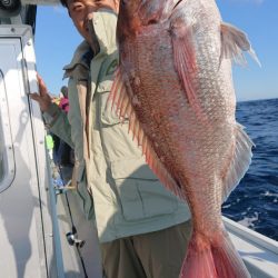 だて丸 釣果