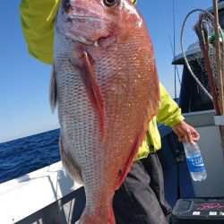 だて丸 釣果