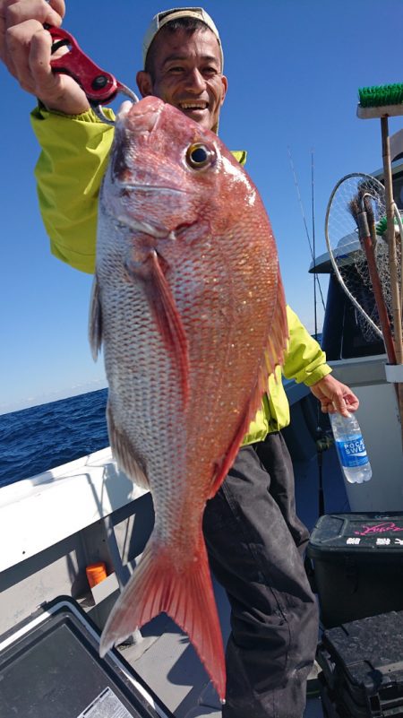 だて丸 釣果