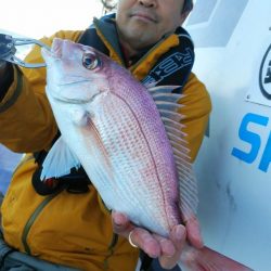 新幸丸 釣果