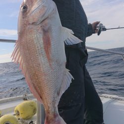 だて丸 釣果