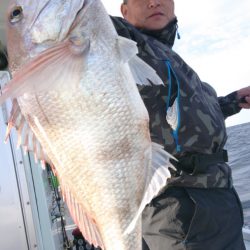 だて丸 釣果