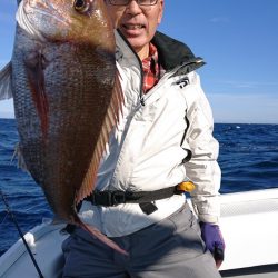 だて丸 釣果